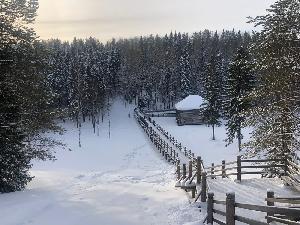 Малые Корелы